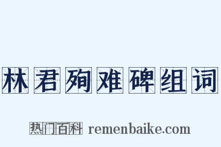 林君殉难碑组词是什么意思的图片